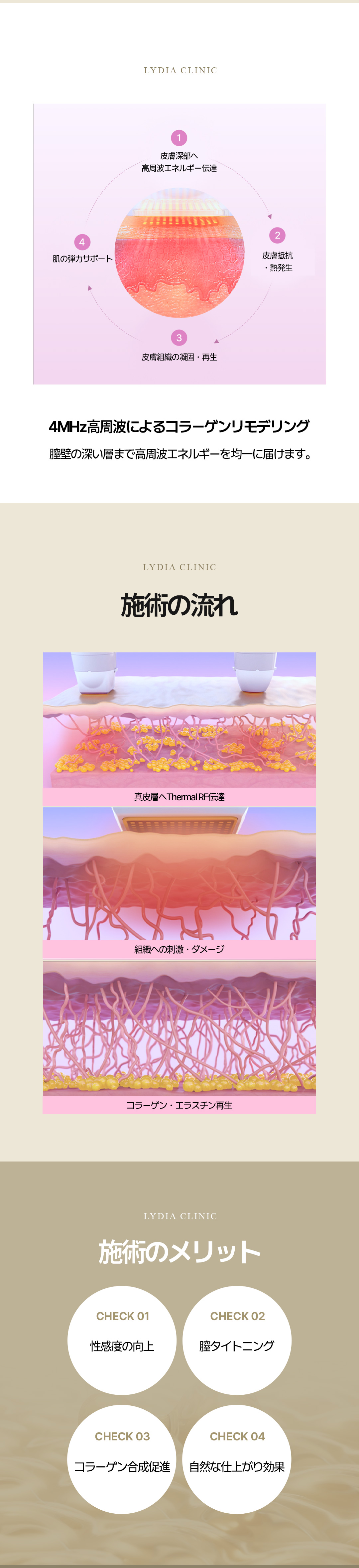 Liệu pháp ERF tại Lidia Women's Clinic Hàn Quốc | Chăm sóc vấn đề vùng kín