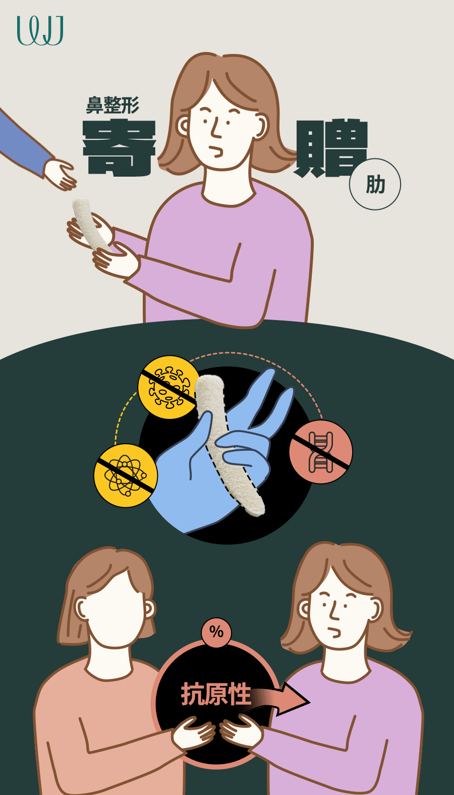 Phẫu thuật mũi sụn sườn tự thân | Thủ thuật hướng tới đường mũi tự nhiên không dùng prosthesis | WJ Wonjin Thẩm mỹ Gangnam