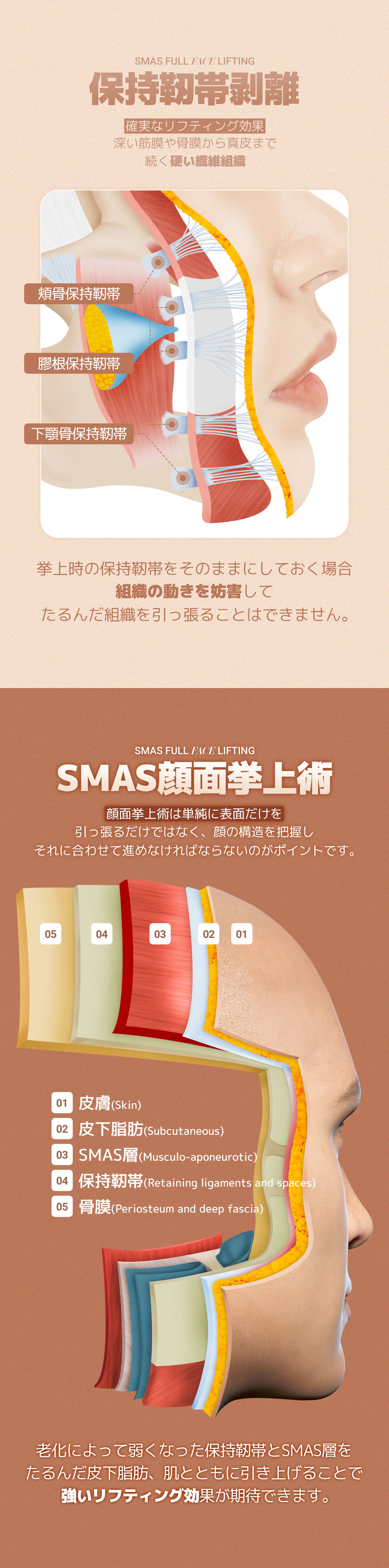 SMAS Face Lift | Phẫu thuật căng da mặt chính thống bởi bác sĩ chuyên khoa | DM Clinic (Apgujeong)