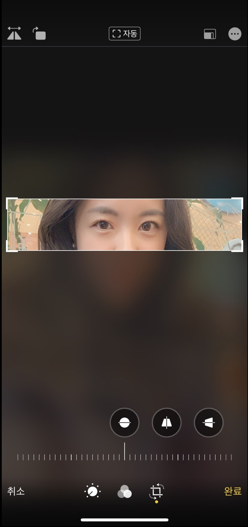 [目]ハンバンソドン - 切開