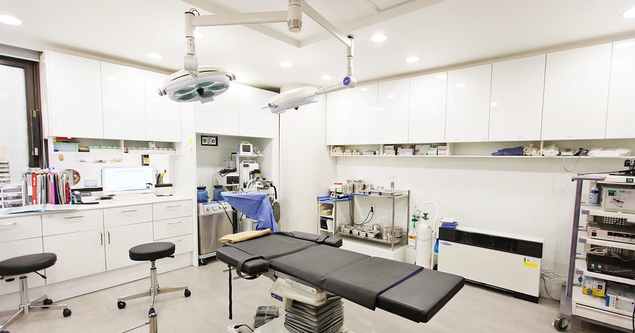 エイペックス整形外科 - 写真 13